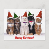 Cartes Pour Fêtes Annuelles "Noël de Meowy !" Chats (Devant)
