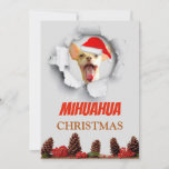 Cartes Pour Fêtes Annuelles Noël de Mihuahua, chiwawa avec le casquette de<br><div class="desc">chiwawa portant Noël de casquette de père Noël</div>