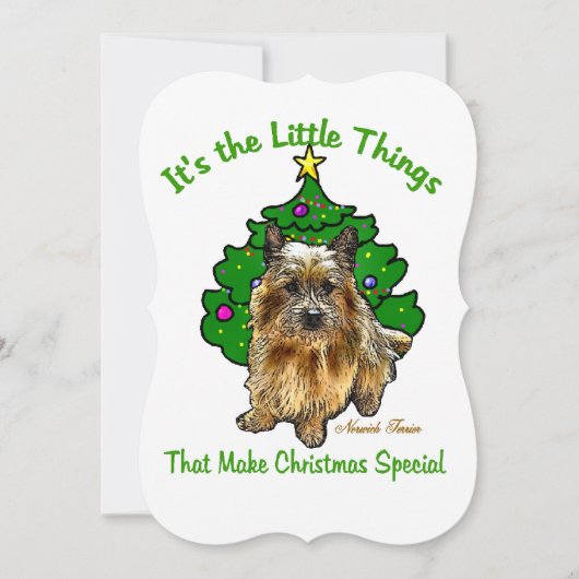Cartes Pour Fêtes Annuelles Noël de Norwich Terrier (Devant)