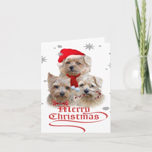 Cartes Pour Fêtes Annuelles Noël de Norwich Terrier (Devant)
