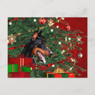 Cartes Pour Fêtes Annuelles Noël de pinscher de dobermann