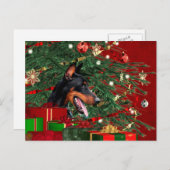 Cartes Pour Fêtes Annuelles Noël de pinscher de dobermann (Devant / Derrière)