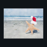 Cartes Pour Fêtes Annuelles Noël de plage d'étoiles de mer<br><div class="desc">Étoiles de mer utilisant un casquette de père Noël à la plage en Californie du sud ensoleillée</div>