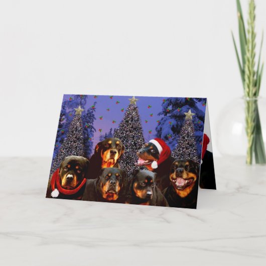 Cartes Pour Fêtes Annuelles Noël de rottweiler (Devant)