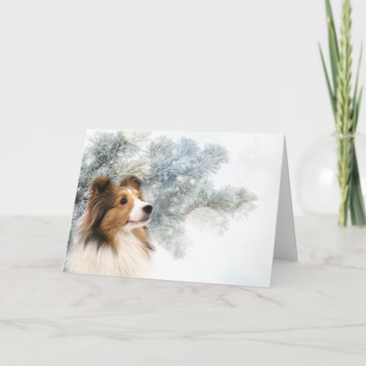 Cartes Pour Fêtes Annuelles Noël de Sheltie de sable (Devant)