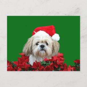 Cartes Pour Fêtes Annuelles Noël de Shih Tzu
