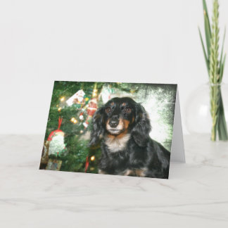 Cartes Pour Fêtes Annuelles Noël de teckel