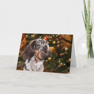 Cartes Pour Fêtes Annuelles Noël de teckel