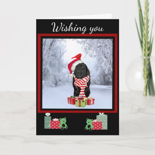 Cartes Pour Fêtes Annuelles Noël de Terre-Neuve (Devant)