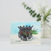 Cartes Pour Fêtes Annuelles Noël de Terrier de cairn (Debout devant)