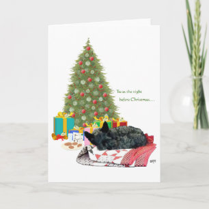 Cartes Pour Fêtes Annuelles Noël de Terrier Écossais endormi