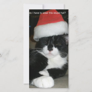 Cartes Pour Fêtes Annuelles Noël de Tuxedo