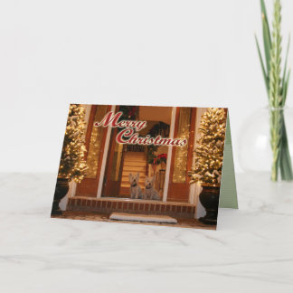 Cartes Pour Fêtes Annuelles Noël de Westie