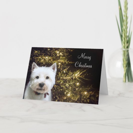 Cartes Pour Fêtes Annuelles Noël de Westie (Devant)