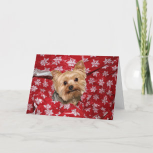 Cartes Pour Fêtes Annuelles Noël de Yorkie