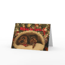 Noël de Yorkie