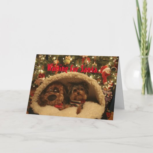 Cartes Pour Fêtes Annuelles Noël de Yorkie (Devant)