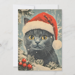 Cartes Pour Fêtes Annuelles Noël des chats Chartreux