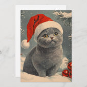 Cartes Pour Fêtes Annuelles Noël des chats Chartreux (Devant / Derrière)