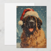 Cartes Pour Fêtes Annuelles Noël des chiens de Leonberger (Devant / Derrière)