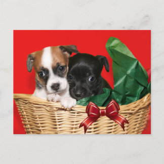 Cartes Pour Fêtes Annuelles Noël des chiots