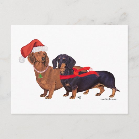 Cartes Pour Fêtes Annuelles Noël des Dachshunds (Devant)