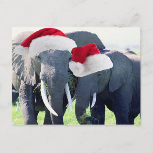 Cartes Pour Fêtes Annuelles Noël des éléphants inoubliable
