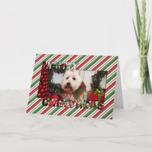Cartes Pour Fêtes Annuelles Noël des montagnes occidental Photocard de Terrier