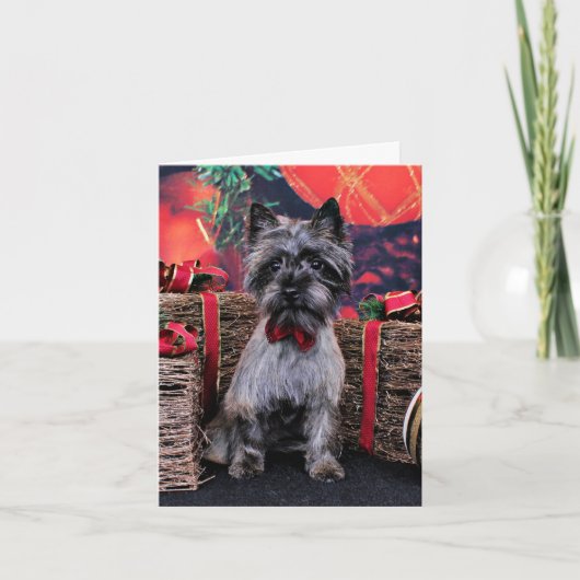 Cartes Pour Fêtes Annuelles Noël - Dexter - Cairn (Devant)