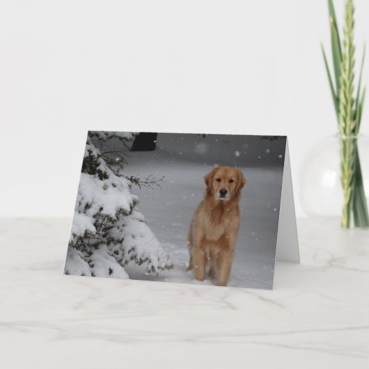 Cartes Pour Fêtes Annuelles Noël d'or de Milou (Devant)