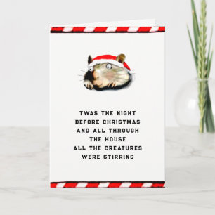Cartes Pour Fêtes Annuelles Noël drôle