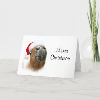Cartes Pour Fêtes Annuelles Noël drôle de cheval