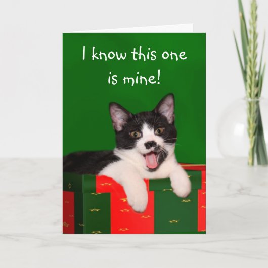 Cartes Pour Fêtes Annuelles Noël du chat de Tuxedo (Devant)