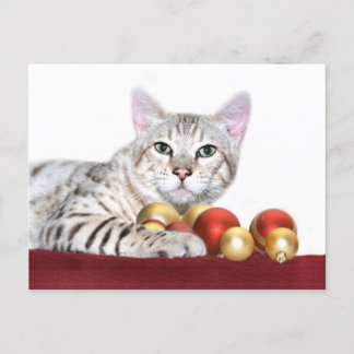 Cartes Pour Fêtes Annuelles Noël du chat du Bengale