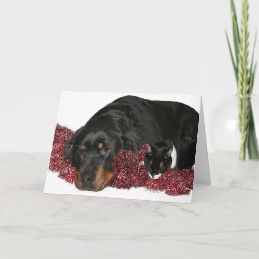 Cartes Pour Fêtes Annuelles Noël du chat et du chien (Devant)