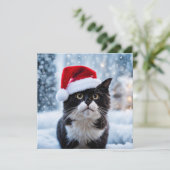 Cartes Pour Fêtes Annuelles Noël du chat noir et blanc (Debout devant)