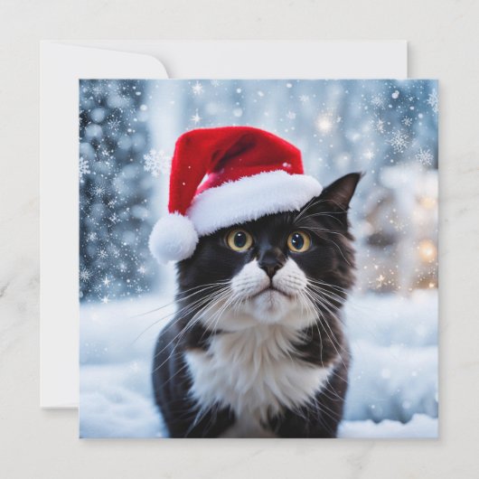 Cartes Pour Fêtes Annuelles Noël du chat noir et blanc (Devant)