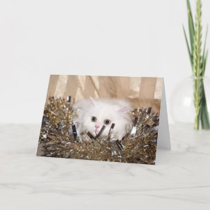 Cartes Pour Fêtes Annuelles Noël du chat perse blanc