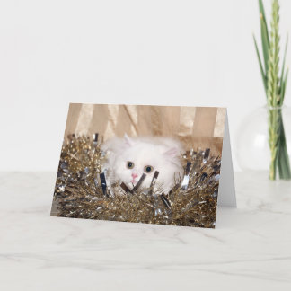 Cartes Pour Fêtes Annuelles Noël du chat perse blanc