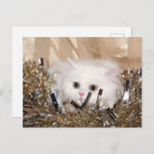 Cartes Pour Fêtes Annuelles Noël du chat perse blanc (Devant / Derrière)