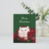 Cartes Pour Fêtes Annuelles Noël du chat perse blanc (Debout devant)
