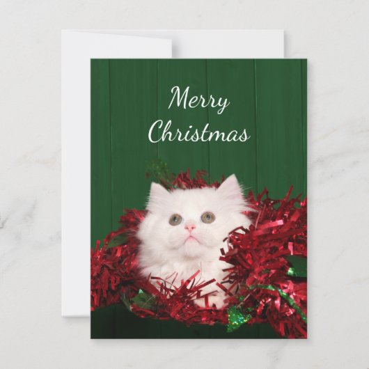 Cartes Pour Fêtes Annuelles Noël du chat perse blanc (Devant)