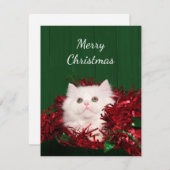 Cartes Pour Fêtes Annuelles Noël du chat perse blanc (Devant / Derrière)