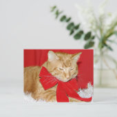 Cartes Pour Fêtes Annuelles Noël du chat tabby orange (Debout devant)