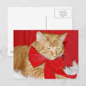 Cartes Pour Fêtes Annuelles Noël du chat tabby orange (Devant / Derrière)