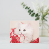 Cartes Pour Fêtes Annuelles Noël du chaton perse (Debout devant)