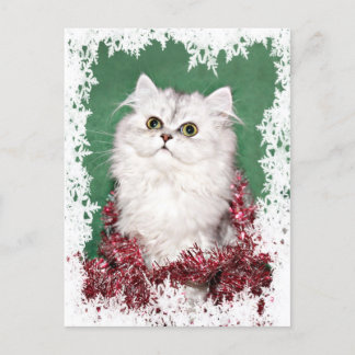 Cartes Pour Fêtes Annuelles Noël du chaton perse