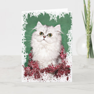 Cartes Pour Fêtes Annuelles Noël du chaton perse