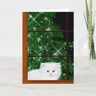 Cartes Pour Fêtes Annuelles Noël du chaton perse blanc