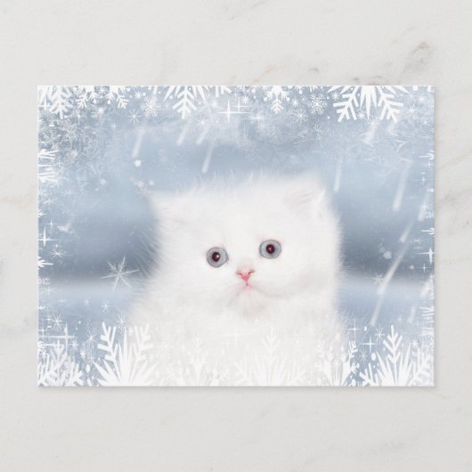 Cartes Pour Fêtes Annuelles Noël du chaton perse blanc (Devant)